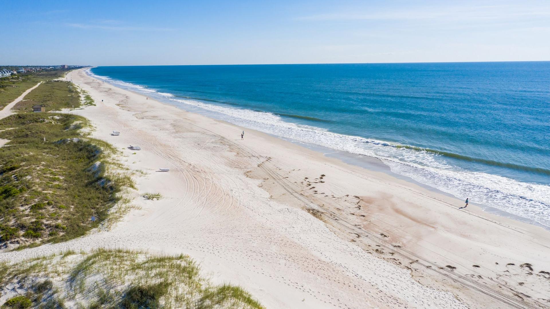 25+ Things to Do Near NAS Jacksonville in Jacksonville, Atlantic Beach, and More!