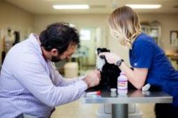 Navy Boulevard Animal Hospital