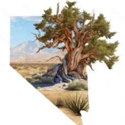 Bristlecone Wealth Management, LLC