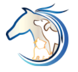 Viking Drive Veterinary Hospital Boarding and Grooming